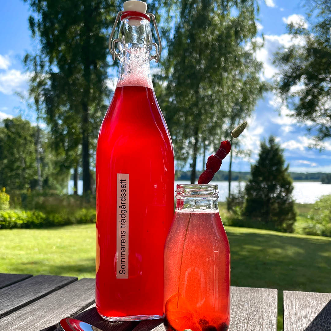 Ta hand om sommarbären – gör din egen saft!