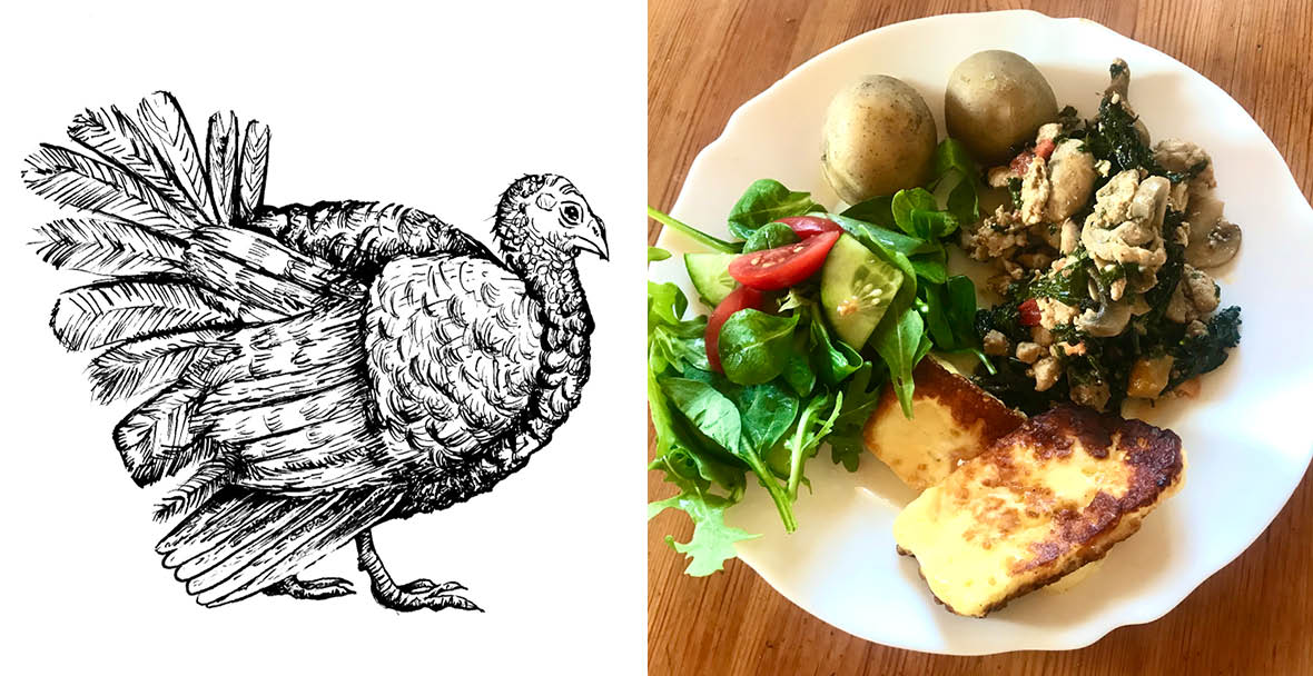 Gryta på kalkonstrimlor serveras med Eldost och sallad